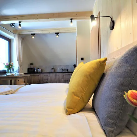 Apartment Vip Gorskie Klimaty Zakopane